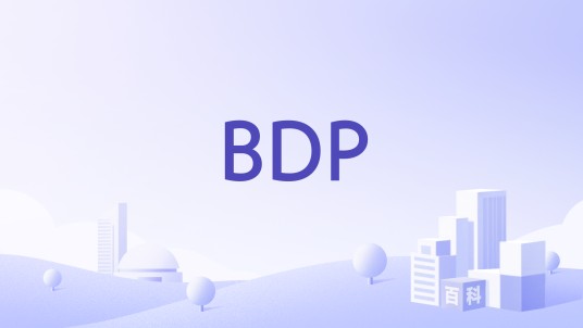 BDP(英国跨国建筑设计公司)