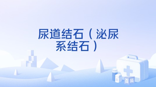 尿道结石（泌尿系结石）
