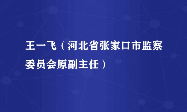 王一飞（河北省张家口市监察委员会原副主任）