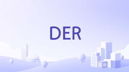 DER（英文缩写）