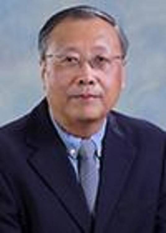 陈向东（中国北京航空航天大学教授）