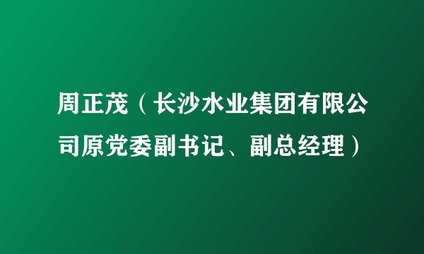 周正茂（长沙水业集团有限公司原党委副书记、副总经理）
