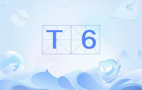 T6（热处理）