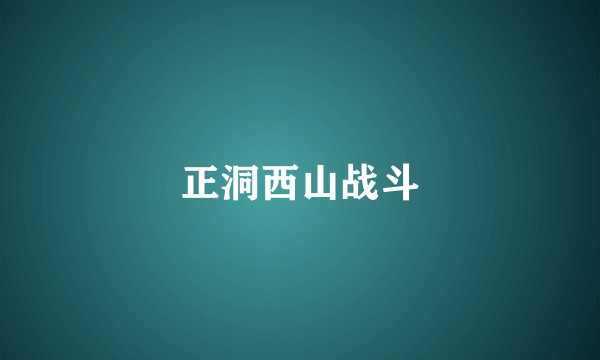 正洞西山战斗