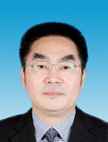 费麒(四川省企联党委副书记)