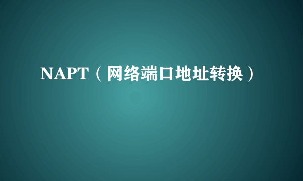 NAPT（网络端口地址转换）