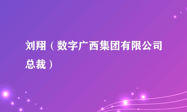 刘翔（数字广西集团有限公司总裁）