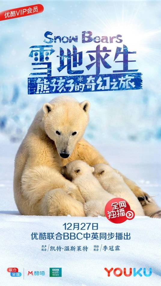 雪地求生：熊孩子的奇幻之旅