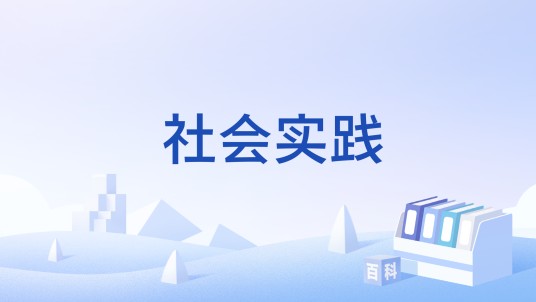 社会实践（理论术语）