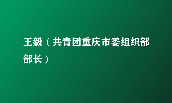 王毅（共青团重庆市委组织部部长）