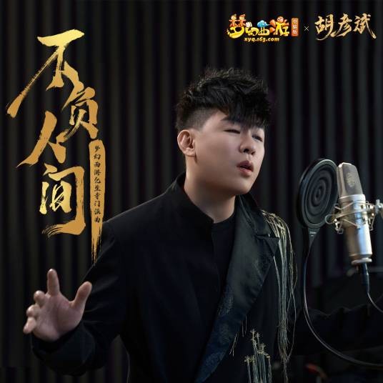 不负人间（胡彦斌演唱的歌曲）