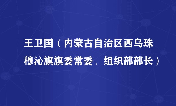 王卫国（内蒙古自治区西乌珠穆沁旗旗委常委、组织部部长）