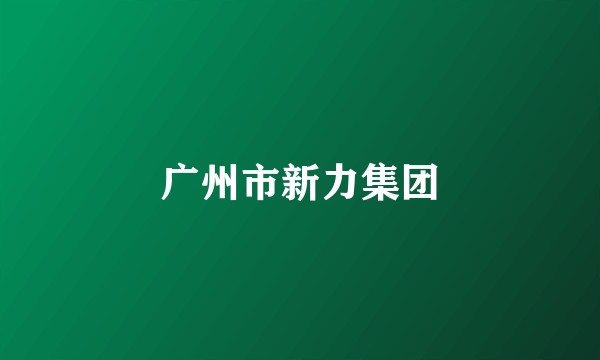 广州市新力集团