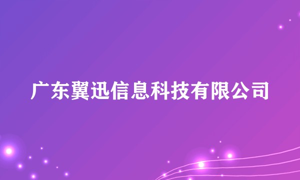 广东翼迅信息科技有限公司