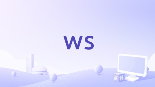 ws（萨摩亚的国家代码顶级域名）