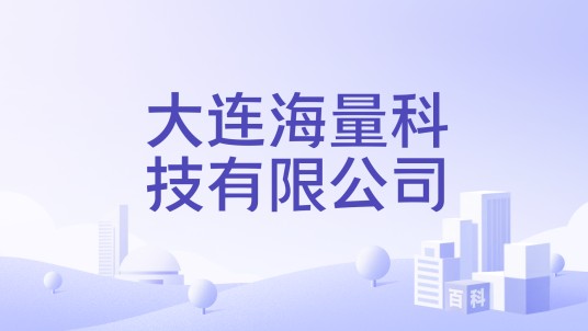 大连海量科技有限公司