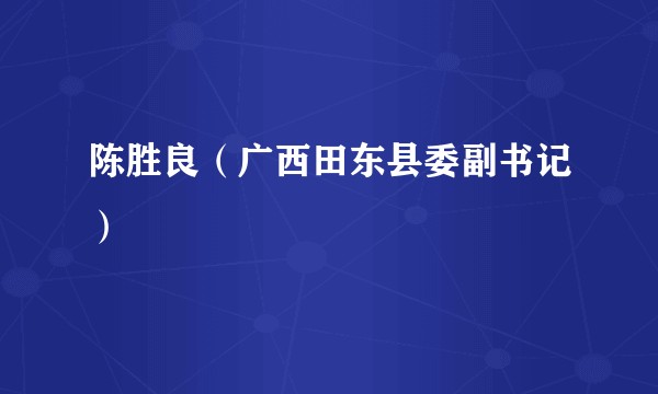 陈胜良（广西田东县委副书记）