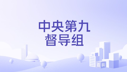 中央第九督导组