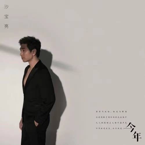 今年（沙宝亮演唱歌曲）