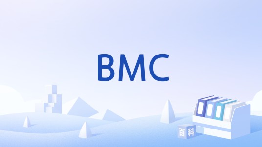 BMC（广播/组播控制）