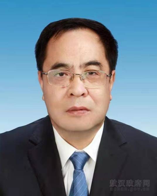 任伟（内蒙古自治区赤峰市敖汉旗人大常委会原党组副书记、副主任）
