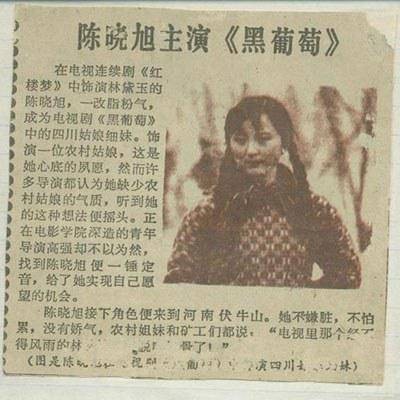 黑葡萄(1990年高强执导的中国大陆电视剧)
