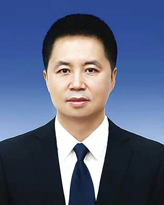 陈伟宏（黑龙江省佳木斯市政府副市长、市公安局局长）