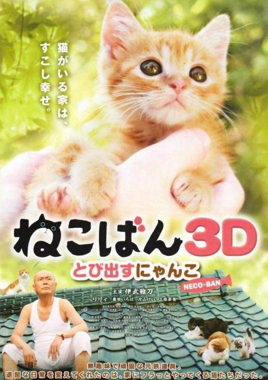 小猫跳出来