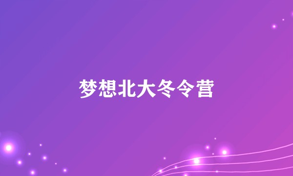 梦想北大冬令营