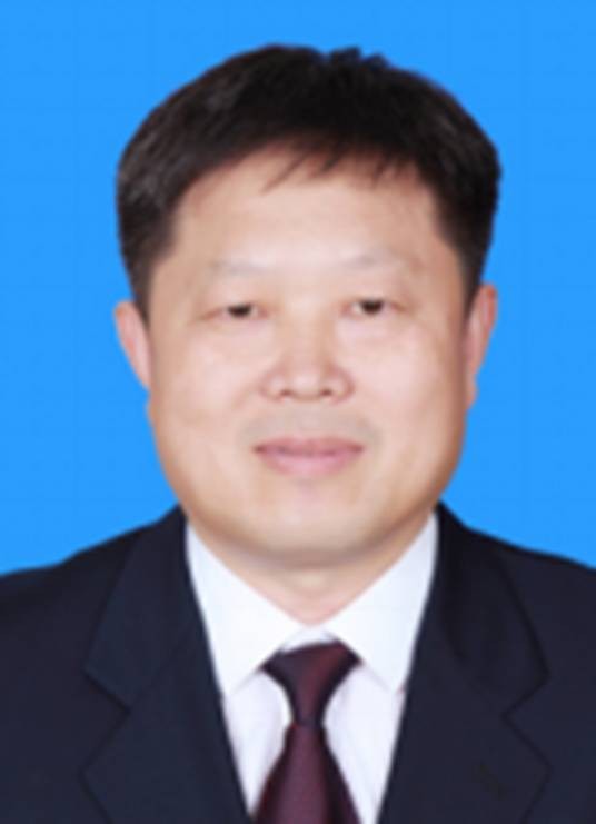 刘金龙（天津市审计局原总审计师）