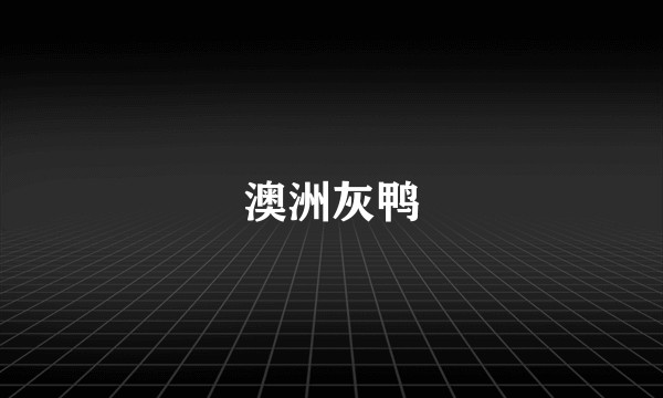 澳洲灰鸭