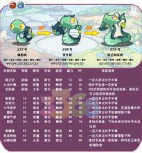 双子响尾蛇