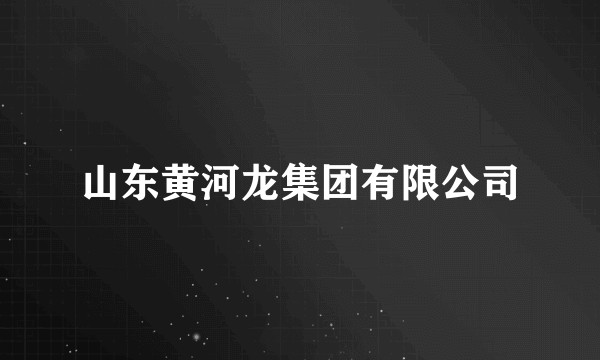 山东黄河龙集团有限公司