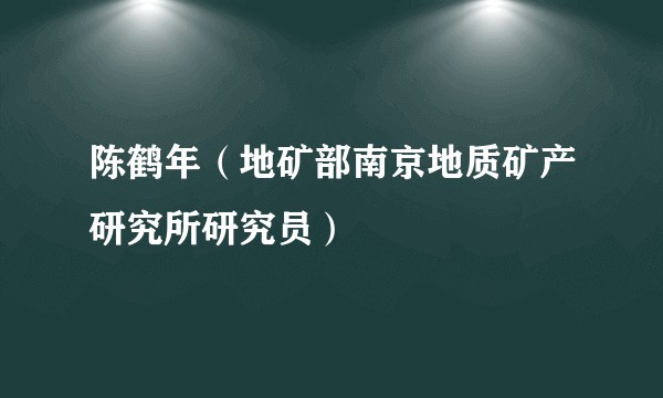 陈鹤年（地矿部南京地质矿产研究所研究员）