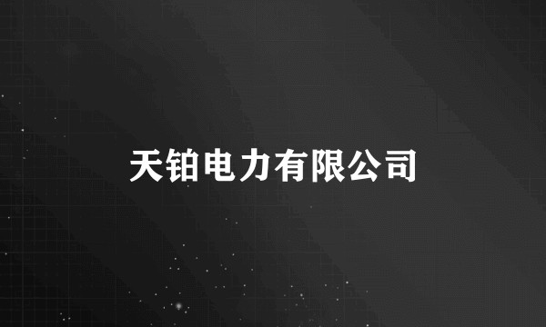 天铂电力有限公司
