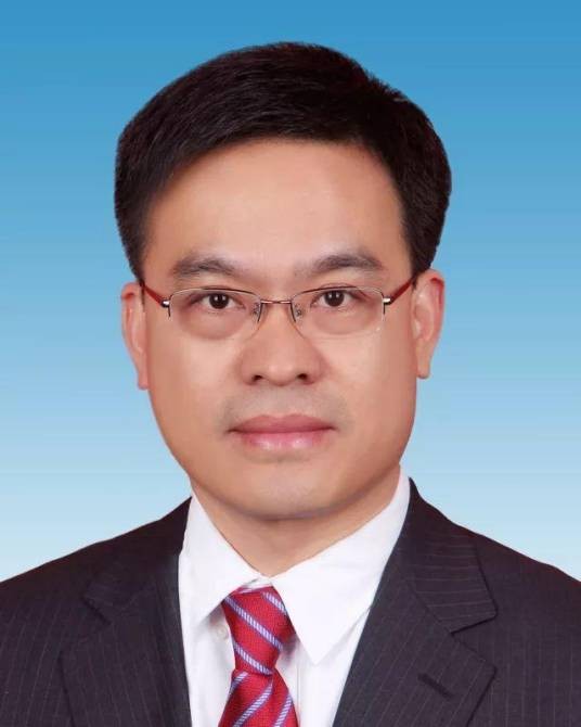 陈迪(陕西省西安经济技术开发区管委会副主任、党工委委员)