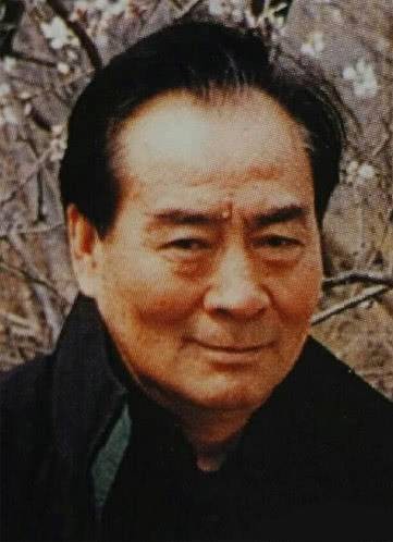 王进（中国男导演、演员）