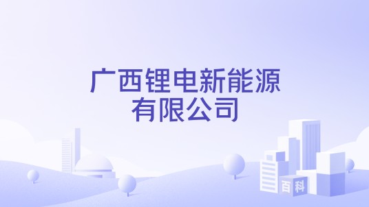 广西锂电新能源有限公司