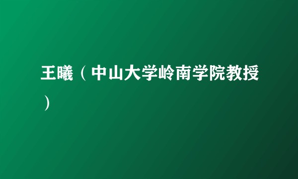 王曦（中山大学岭南学院教授）