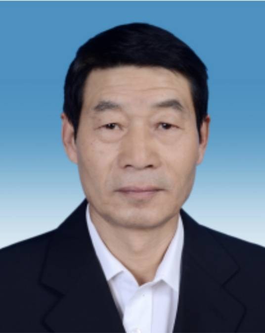 岳枫(淮南市交通运输局四级调研员)