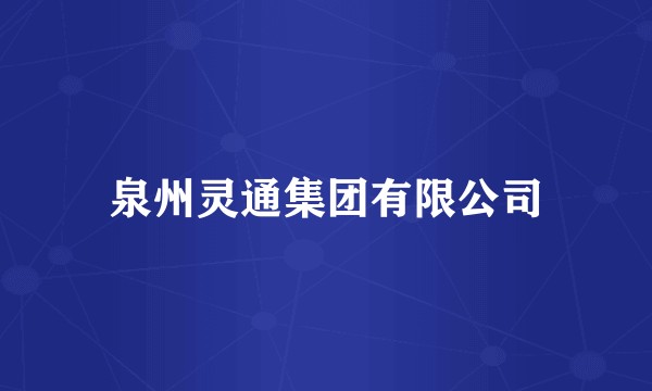 泉州灵通集团有限公司