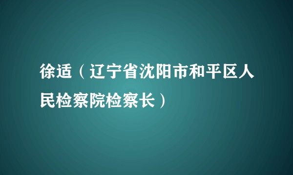 徐适（辽宁省沈阳市和平区人民检察院检察长）