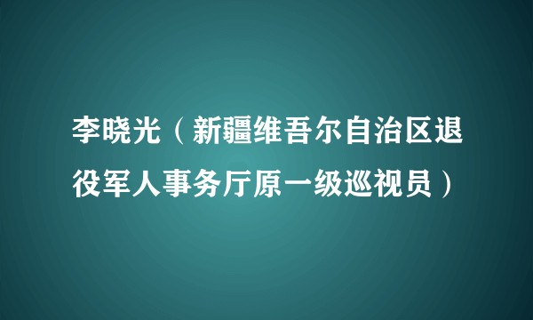 李晓光（新疆维吾尔自治区退役军人事务厅原一级巡视员）
