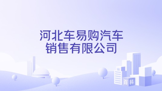 河北车易购汽车销售有限公司