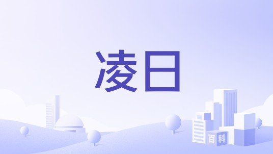 凌日（商务箱包品牌）