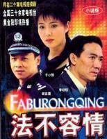 法不容情（2001年唐敬睿执导电视剧）