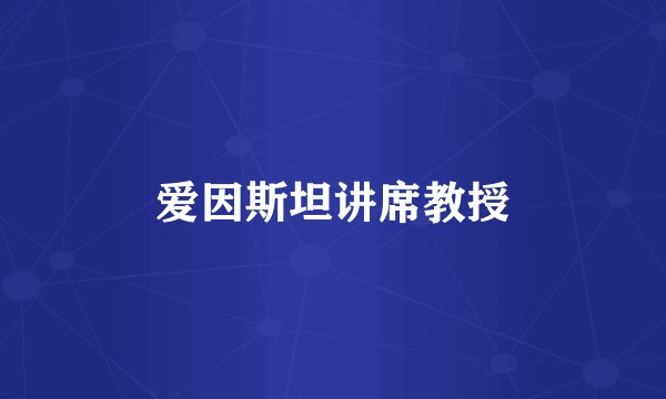 爱因斯坦讲席教授