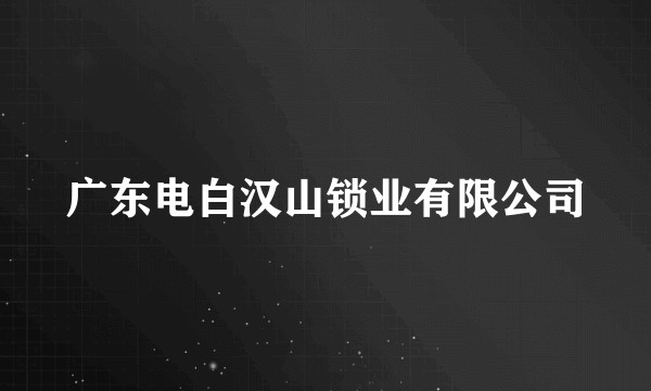广东电白汉山锁业有限公司