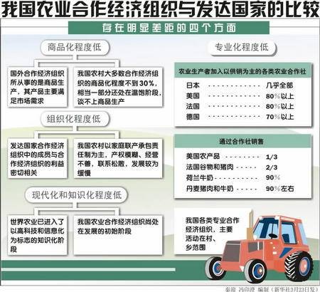 农业合作经济组织