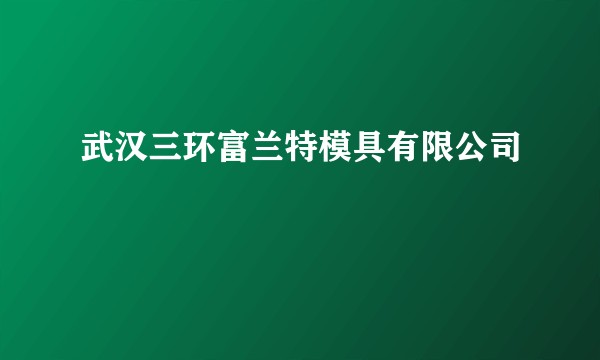 武汉三环富兰特模具有限公司